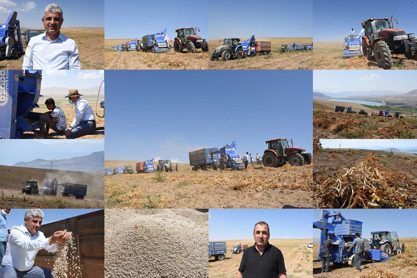 Bitlis fasulye üretiminde Türkiye'de söz sahibi